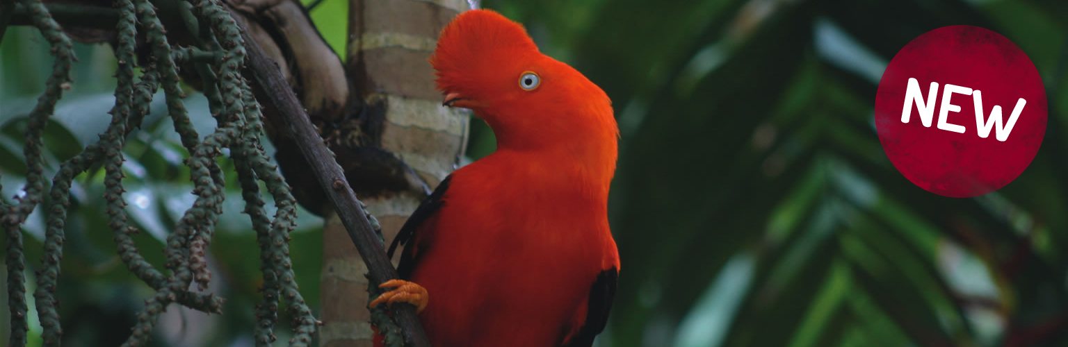 Perú